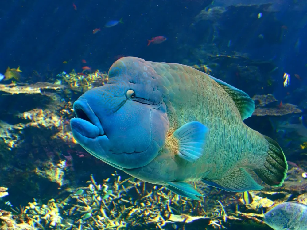 Sightseeing & Activities in Okinawa Island